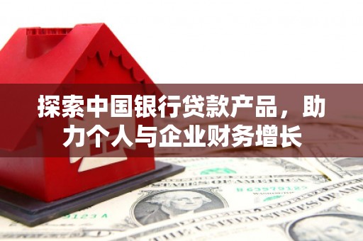 林芝探索中国银行贷款产品，助力个人与企业财务增长