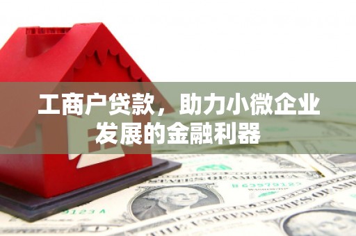 林芝工商户贷款，助力小微企业发展的金融利器