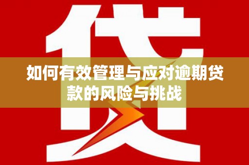 林芝如何有效管理与应对逾期贷款的风险与挑战