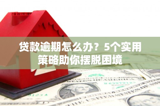 林芝贷款逾期怎么办？5个实用策略助你摆脱困境