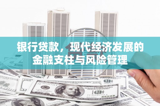 林芝银行贷款，现代经济发展的金融支柱与风险管理