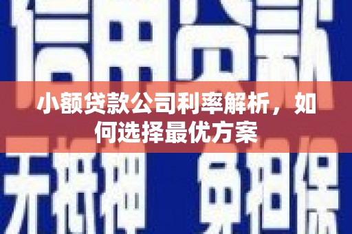 林芝小额贷款公司利率解析，如何选择最优方案