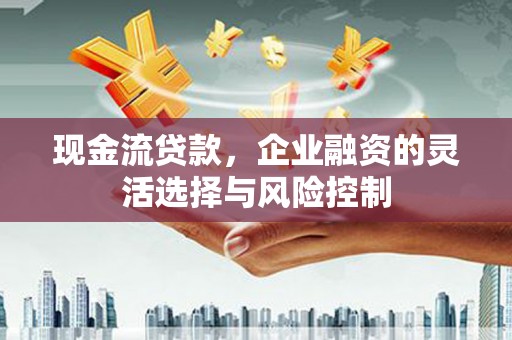 林芝现金流贷款，企业融资的灵活选择与风险控制