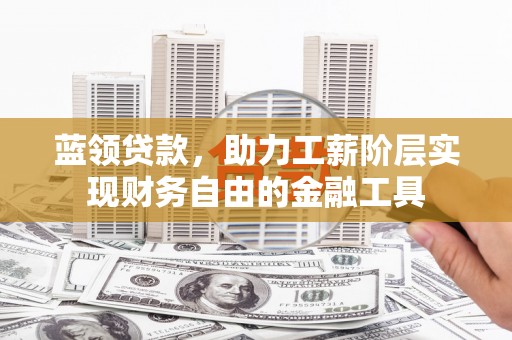 林芝蓝领贷款，助力工薪阶层实现财务自由的金融工具