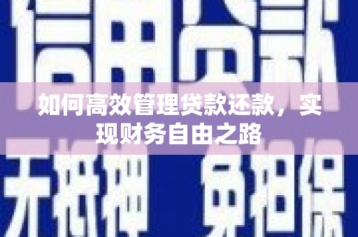 林芝如何高效管理贷款还款，实现财务自由之路