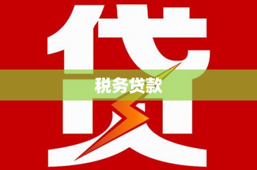 林芝税务贷款