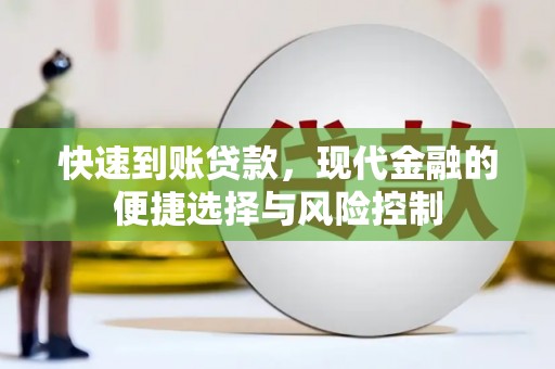 林芝快速到账贷款，现代金融的便捷选择与风险控制