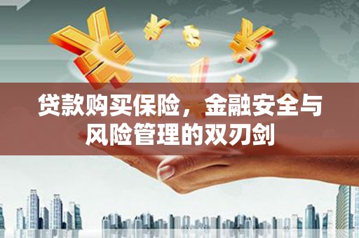 林芝贷款购买保险，金融安全与风险管理的双刃剑