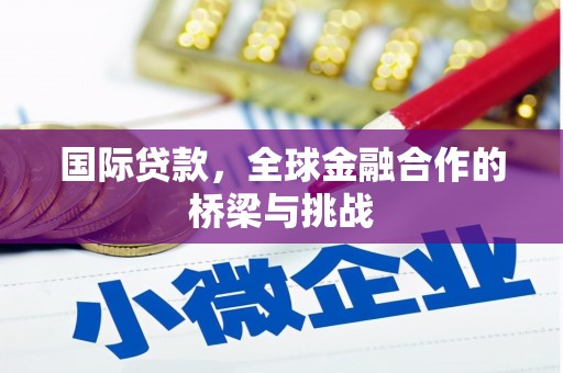 林芝国际贷款，全球金融合作的桥梁与挑战