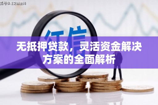 林芝无抵押贷款，灵活资金解决方案的全面解析