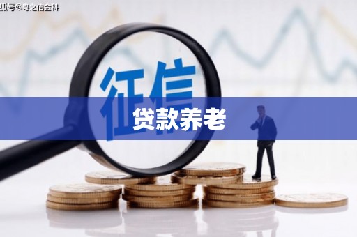 林芝贷款养老
