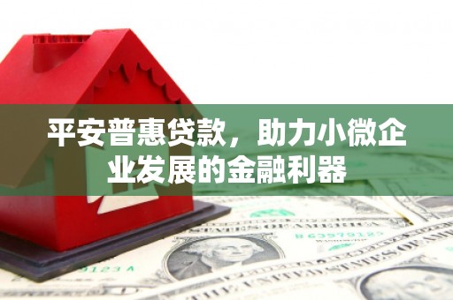 林芝平安普惠贷款，助力小微企业发展的金融利器