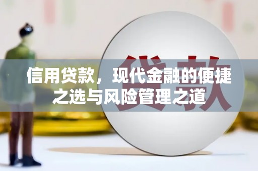 林芝信用贷款，现代金融的便捷之选与风险管理之道