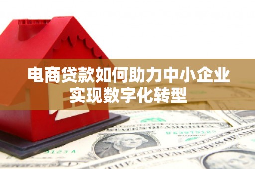 林芝电商贷款如何助力中小企业实现数字化转型