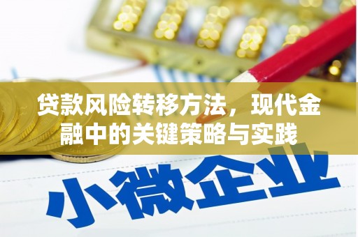 林芝贷款风险转移方法，现代金融中的关键策略与实践