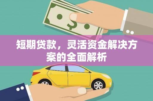 林芝短期贷款，灵活资金解决方案的全面解析