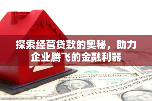 林芝探索经营贷款的奥秘，助力企业腾飞的金融利器