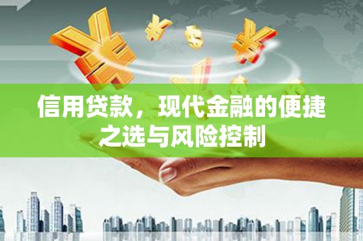 林芝信用贷款，现代金融的便捷之选与风险控制