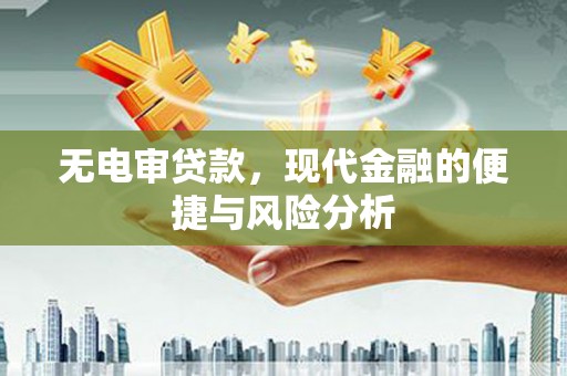 林芝无电审贷款，现代金融的便捷与风险分析