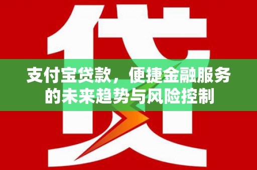 林芝支付宝贷款，便捷金融服务的未来趋势与风险控制
