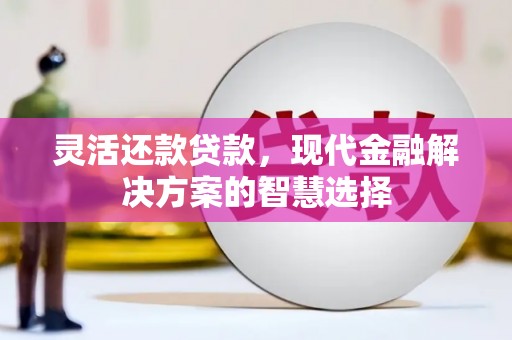 林芝灵活还款贷款，现代金融解决方案的智慧选择