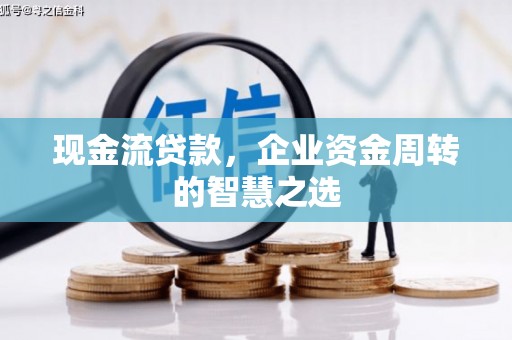 林芝现金流贷款，企业资金周转的智慧之选