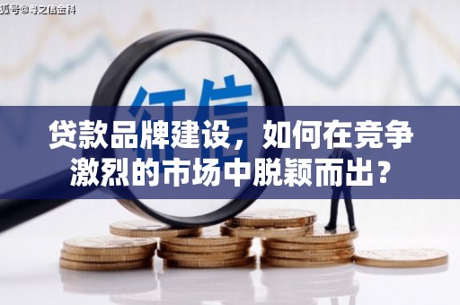 林芝贷款品牌建设，如何在竞争激烈的市场中脱颖而出？