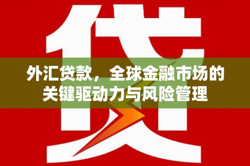 林芝外汇贷款，全球金融市场的关键驱动力与风险管理