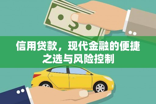 林芝信用贷款，现代金融的便捷之选与风险控制