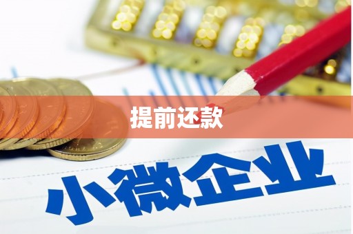 林芝提前还款