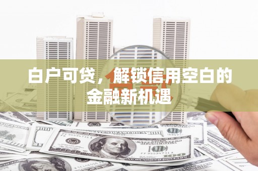 林芝白户可贷，解锁信用空白的金融新机遇