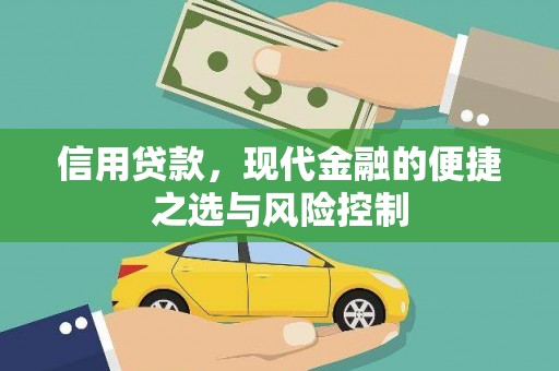 林芝信用贷款，现代金融的便捷之选与风险控制