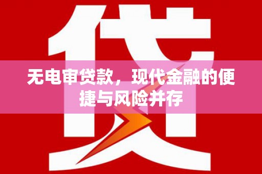 林芝无电审贷款，现代金融的便捷与风险并存