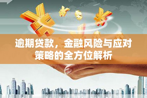 林芝逾期贷款，金融风险与应对策略的全方位解析