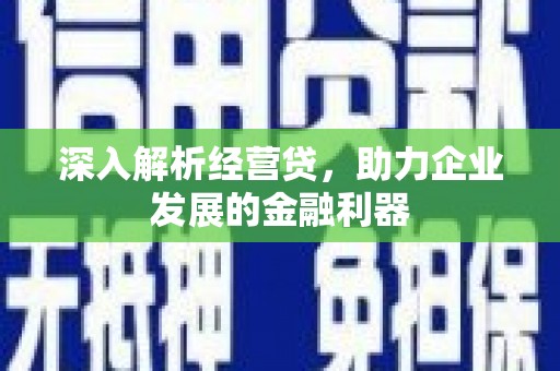 林芝深入解析经营贷，助力企业发展的金融利器