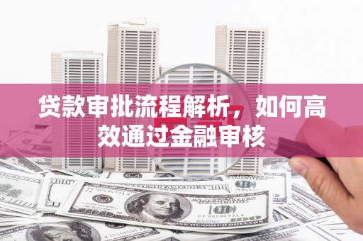 林芝贷款审批流程解析，如何高效通过金融审核
