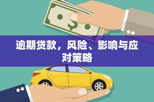 林芝逾期贷款，风险、影响与应对策略