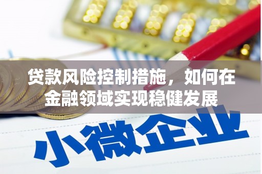 林芝贷款风险控制措施，如何在金融领域实现稳健发展