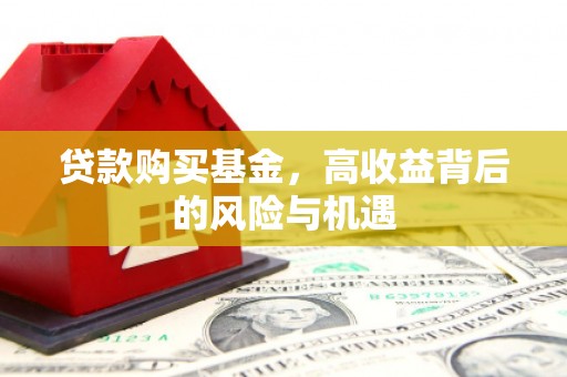 林芝贷款购买基金，高收益背后的风险与机遇