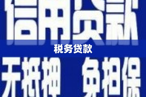 林芝税务贷款