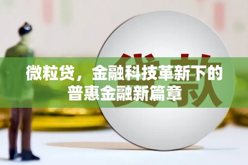 林芝微粒贷，金融科技革新下的普惠金融新篇章