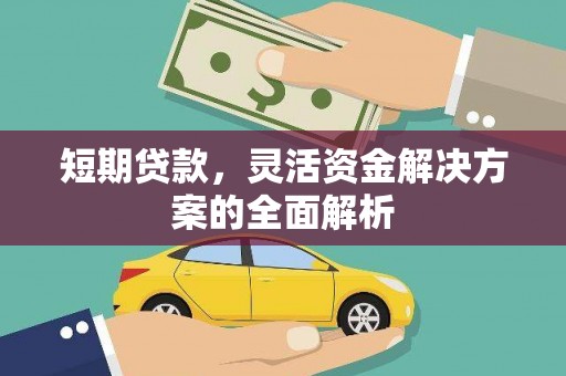 林芝短期贷款，灵活资金解决方案的全面解析