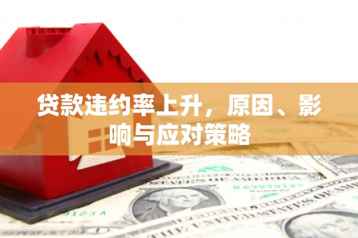 林芝贷款违约率上升，原因、影响与应对策略