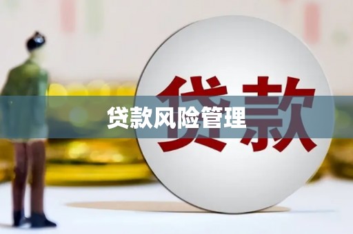林芝贷款风险管理