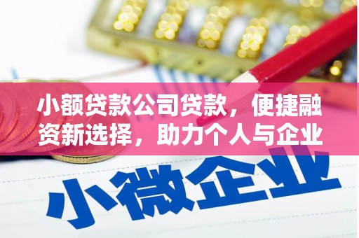 林芝小额贷款公司贷款，便捷融资新选择，助力个人与企业成长