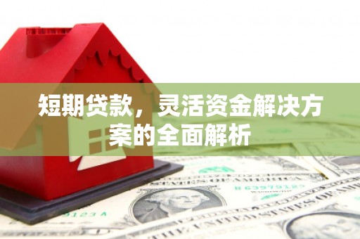 林芝短期贷款，灵活资金解决方案的全面解析
