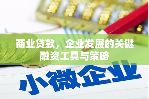 林芝商业贷款，企业发展的关键融资工具与策略