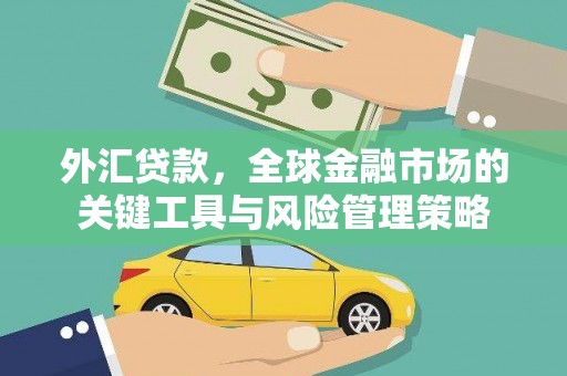 林芝外汇贷款，全球金融市场的关键工具与风险管理策略