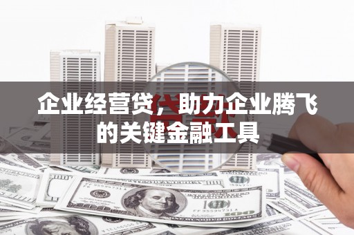 林芝企业经营贷，助力企业腾飞的关键金融工具