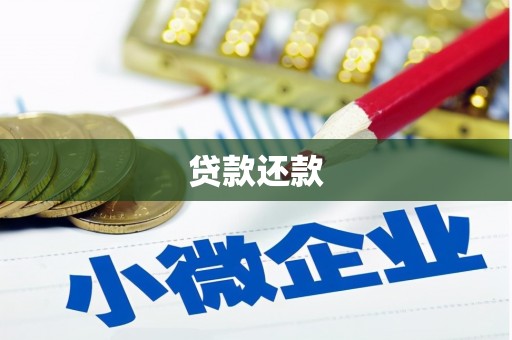 林芝贷款还款